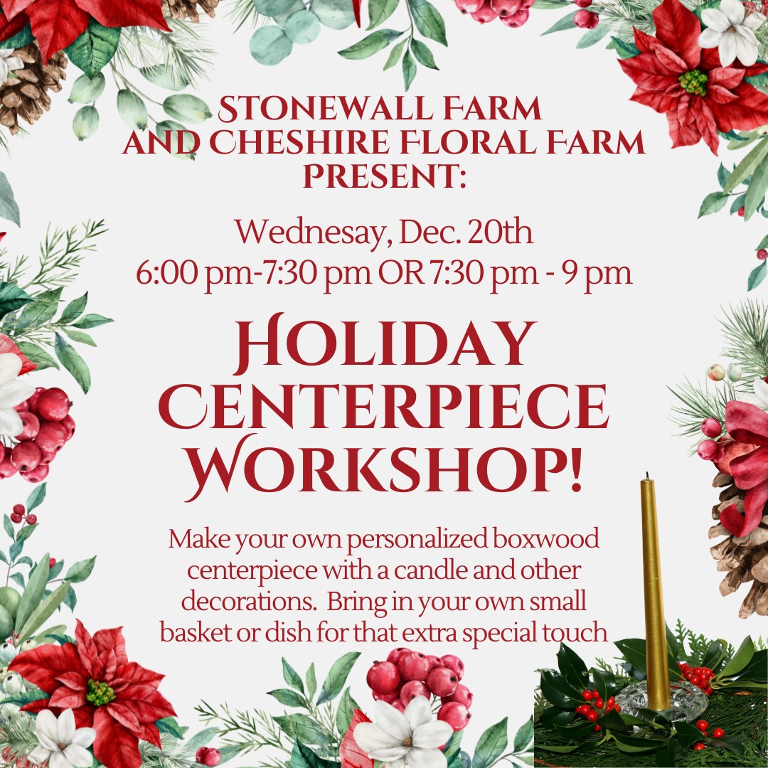 Holiday Centerpiece Workshop Explore Keene