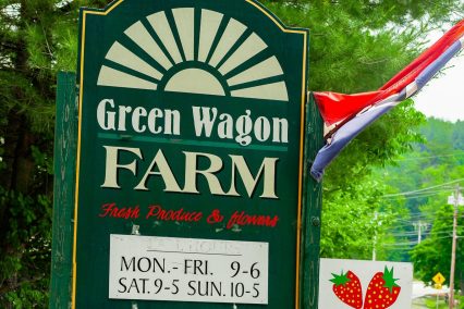 Green Wagon Farm sign